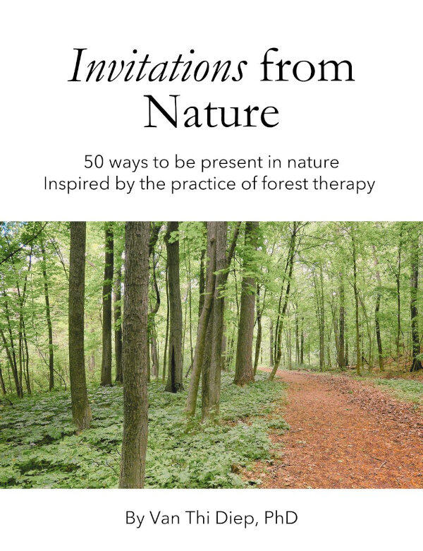 Invitations from Nature Card Deck image for the cover of card deck showing a forest path