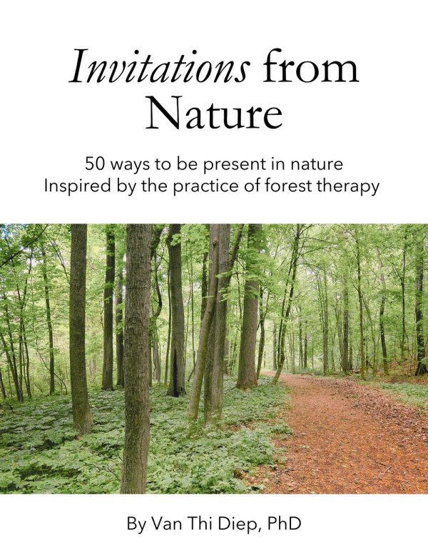 Invitations from Nature Card Deck image for the cover of card deck showing a forest path