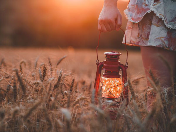 hand holding lantern in a field at dusk