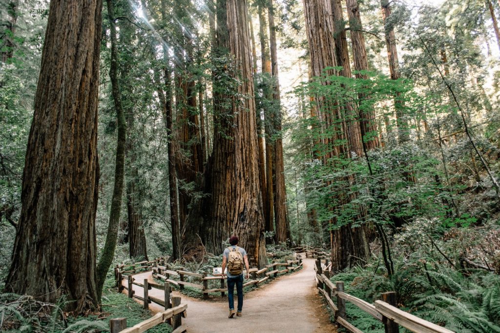 man with backpack making a choice between two paths in a forest