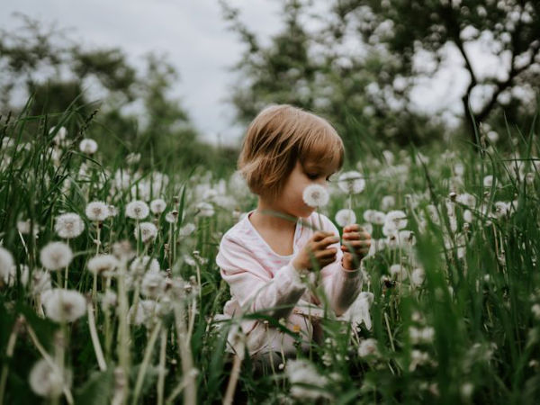 little girl sitting with dandelions