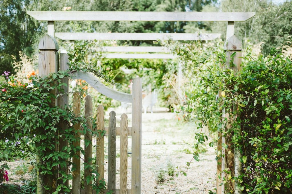 white garden gate with vines