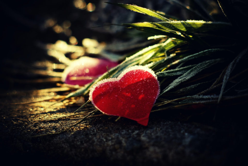 frost covered heart cut-out and leaves