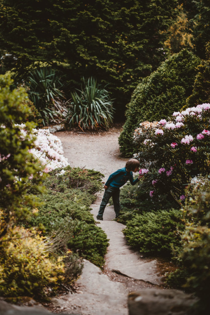 boy smelling flowers in a garden