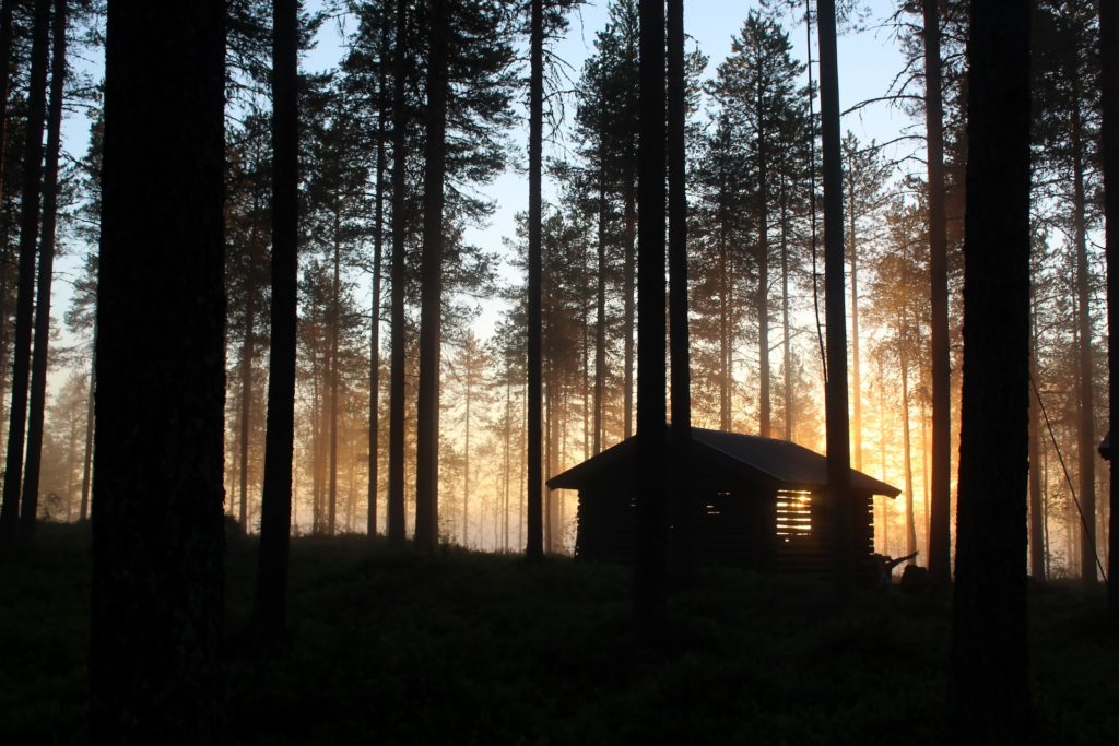 silhouette of cabin in the forest during sunrise